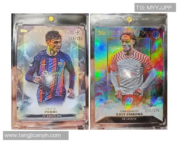 六人六窗足球球星卡专题解析 深入探讨珍藏物料背后的价值与意义